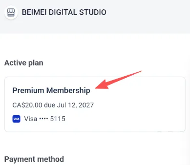 Stripe 会员订阅页面